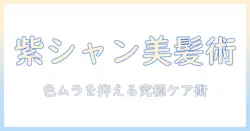 ウィッグと紫シャンプーの使い方完全ガイド：色ムラを抑え美しく保つケア術