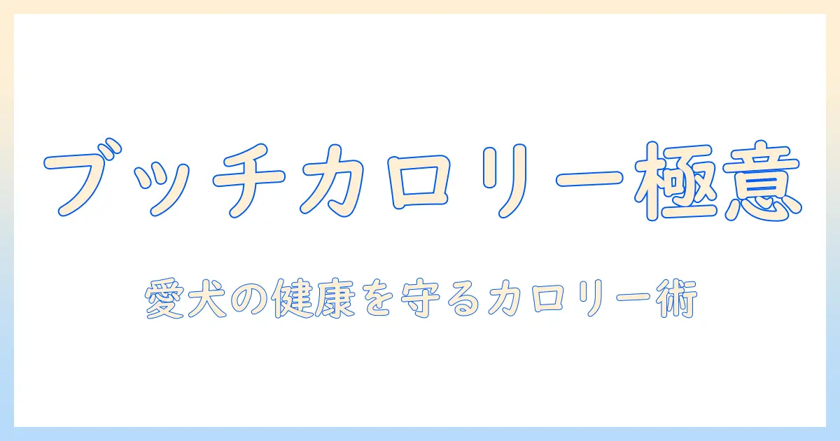 ドッグフードのカロリーを徹底解説｜ブッチのカロリーを知って愛犬の健康管理を始めよう