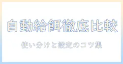 ドッグフードの自動餌やり機を選ぶコツ：やり方と機能を徹底比較