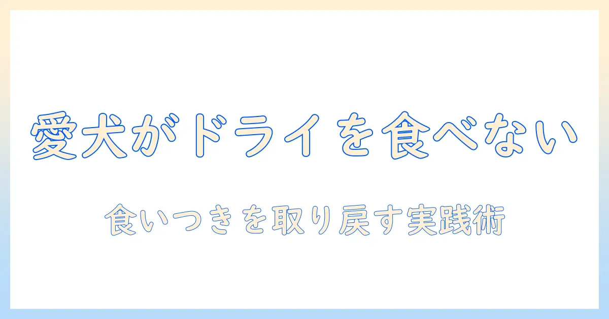 ドッグフードのドライを食べない理由と対策：愛犬の食いつきを取り戻す方法