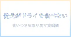 ドッグフードのドライを食べない理由と対策:愛犬の食いつきを取り戻す方法