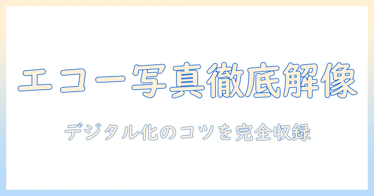 エコー 写真 スキャン 解像度を徹底解説｜エコー写真のデジタル化と高品質保存のコツ