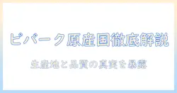 bivark 掃除機はどこの国の製品？原産国を徹底解説