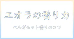 エオラのハンドクリームとベルガモットの香りを徹底解説:香りと保湿で選ぶ、大学生女性におすすめの使い方