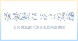 東京駅でこたつ席のある居酒屋を徹底ガイド：冬に温まる東京の居酒屋特集