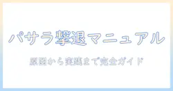 ウィッグのパサラを徹底解説：選び方・お手入れ・使い方ガイド