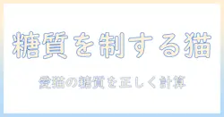 キャットフードの糖質を正しく計算して選ぶ方法:愛猫の健康を守る糖質管理ガイド