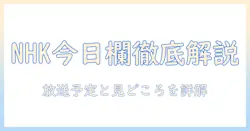 今日の nhk テレビ欄を徹底解説!放送予定と見どころをチェック
