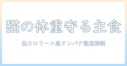 コンボを選ぶ際のキャットフードと肥満対策のポイント