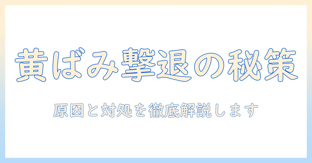 加湿器のフィルターの黄ばみが落ちない原因と対処法
