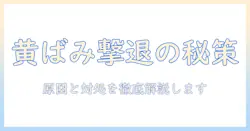 加湿器のフィルターの黄ばみが落ちない原因と対処法