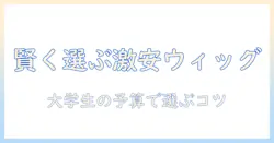 プリシラのウィッグ(激安)を賢く選ぶ:大学生のための購入ガイド
