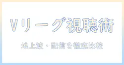 バレーボール男子のvリーグをテレビ放送で観るには?放送局と視聴方法を徹底解説