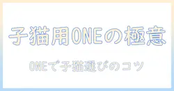 キャットフードの選び方|子猫用ならoneを使う理由とおすすめ