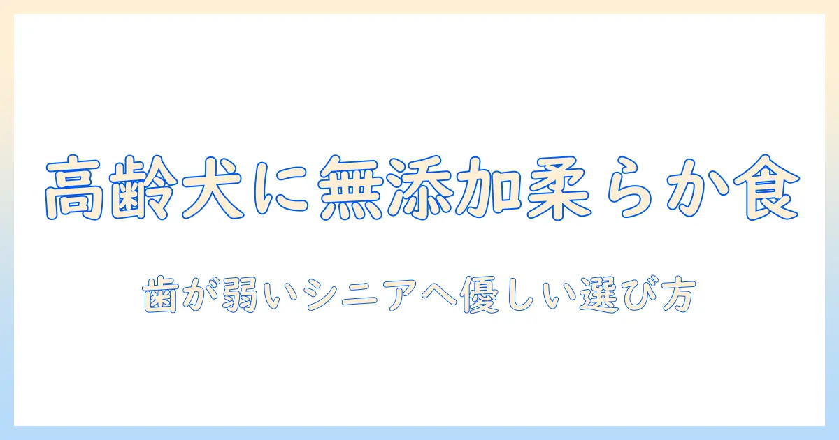高齢犬・老犬のための無添加で柔らかいドッグフード選び：歯が弱いシニア犬に優しい食事ガイド