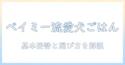 ドッグフードの選び方：be・my・baby の視点で愛犬を大切にする方法