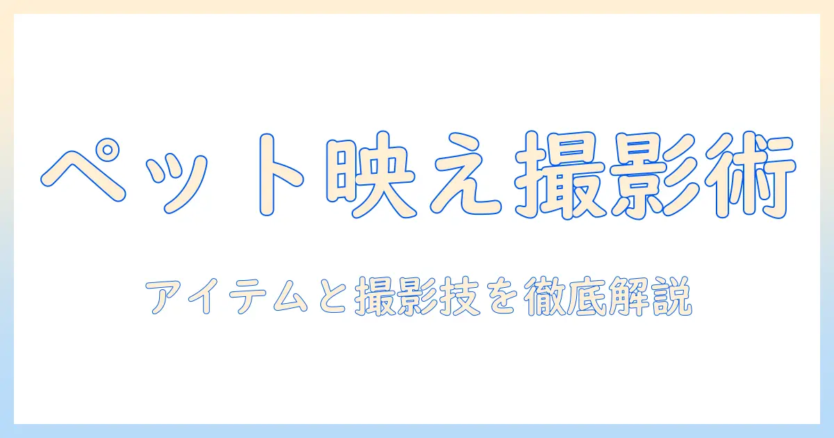 ペット 写真 グッズ インスタで映える撮影術とおすすめアイテム