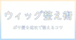 ウィッグのボサボサを直す方法と直し方のコツ