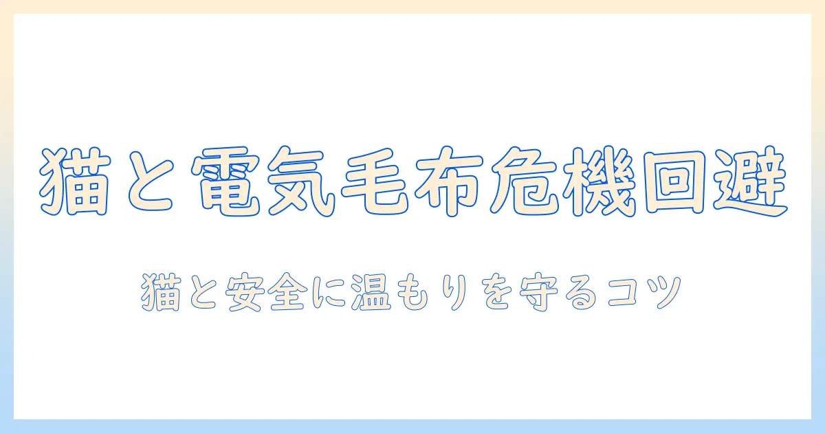 電気毛布と猫のいる家庭での危険を避けるための安全対策ガイド
