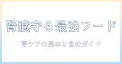 腎臓を守るキャットフードとペーストの選び方と使い方|猫の健康をサポートする基礎ガイド