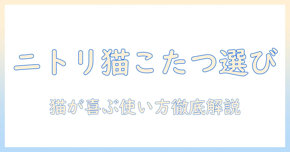 猫用こたつをニトリで選ぶ理由と、猫が喜ぶ使い方