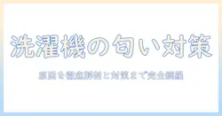 洗濯機の匂い取りを徹底解説！臭いの原因と対策で清潔な洗濯環境を作る