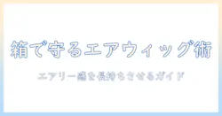 エアリーなウィッグを箱で守る保管術と選び方ガイド