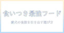 食いつきのいいドッグフードのおすすめ: 愛犬の食欲を引き出す選び方と比較ガイド