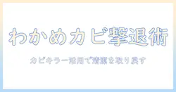 洗濯機のわかめ状カビを撃退するカビキラー活用術と清潔術