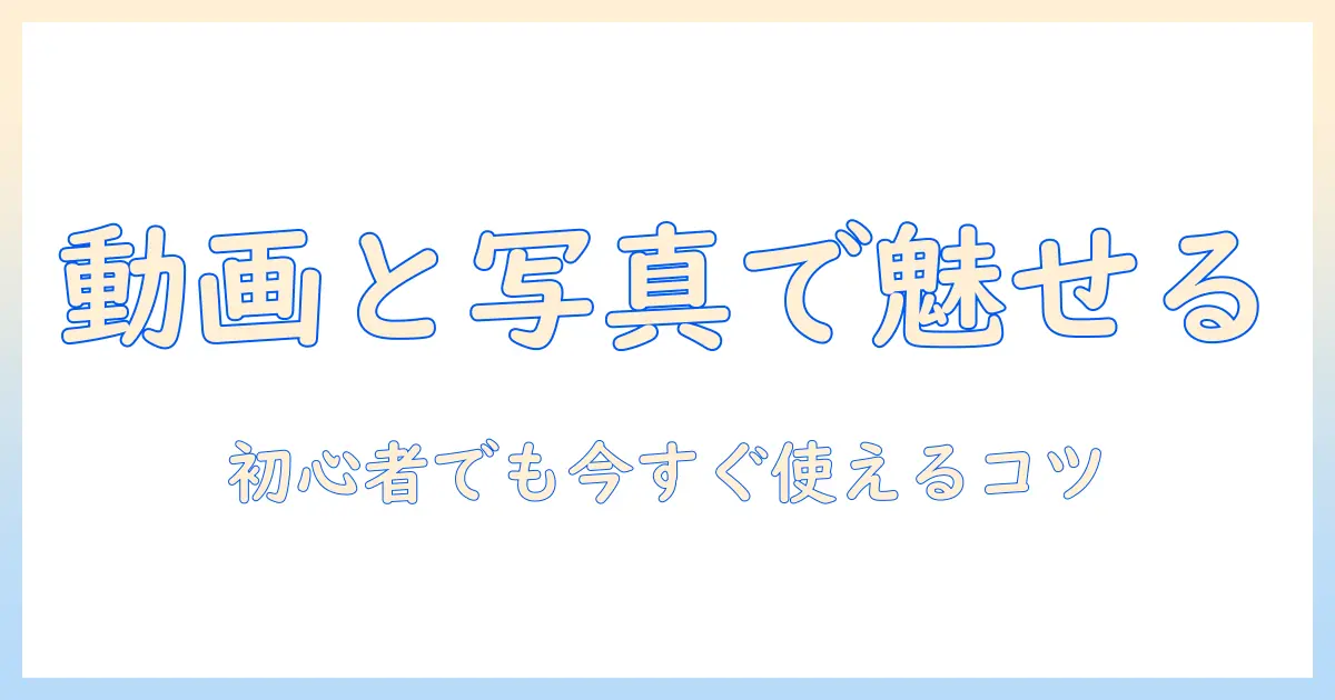 インスタ ストーリー 動画 と 写真 の 組み合わせで作る魅力的な投稿術｜初心者向けガイドと実例集