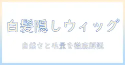 ウィッグで白髪隠しを実現！おすすめのウィッグを徹底解説