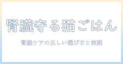 犬猫生活で知るキャットフードと腎臓の健康—猫の腎臓を守る食事の選び方