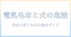 電気毛布と犬の危険を回避するためのガイド：安全な使い方と犬への影響を解説