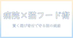 動物・病院・寄付・キャットフードをつなぐ最新ガイド：猫の健康を守る賢いキャットフード選びと寄付の活用術