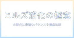 小型犬の消化ケアに役立つ？ヒルズのドッグフードを徹底比較して選ぶ方法