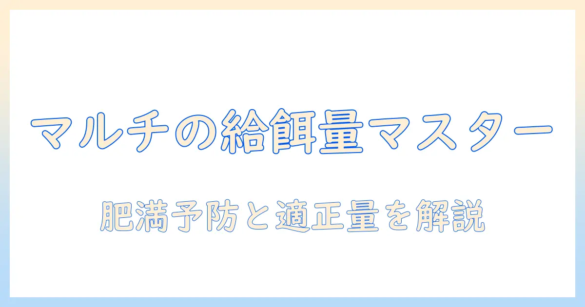 マルチーズのドッグフードの量はどれくらい?適切な給餌量と肥満予防のポイント