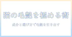 キャットフードで毛艶を美しく保つ方法:成分と選び方ガイド