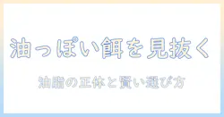 ドッグフードの油っぽい特徴と選び方|油っぽいドッグフードを避けるコツと健康影響