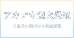 アカナのドッグフードは中型犬に適しているのか?中型犬向けの選び方を徹底解説