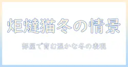 炬燵・猫・季語で紐解く冬の日本語表現:部屋で過ごす温かな物語
