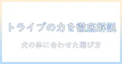 ドッグフードとトライプがはいっているとなにがいいのかを徹底解説|犬の健康と選び方のポイント