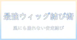 ウィッグで完成させる一つ結びコスプレヘアの作り方と選び方