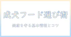 成犬のドッグフード選びとフレシャス活用ガイド:健康を守る基本情報と選択のコツ