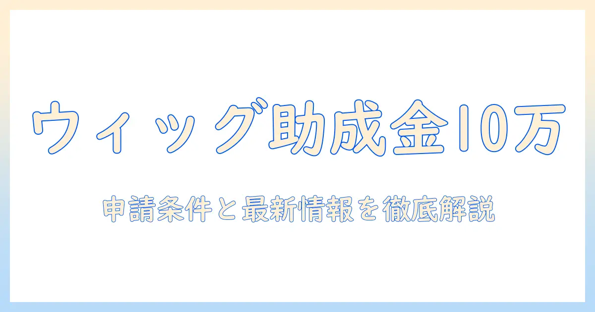 ウィッグの助成金は10万円まで使える？申請条件と最新情報を徹底解説