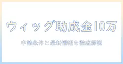 ウィッグの助成金は10万円まで使える?申請条件と最新情報を徹底解説