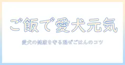 ドッグフードにご飯を混ぜる方法と注意点:愛犬の健康を守るコツ
