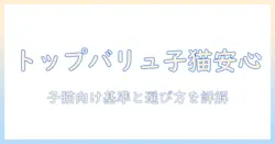 トップバリュのキャットフードは子猫にも安心?子猫向けの選び方とポイントを解説