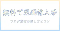 コーヒーの豆・画像・素材を無料で手に入れる方法|ブログ用素材を探す初心者ガイド