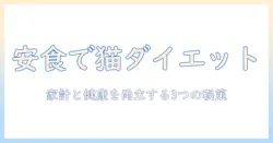 安いキャットフードでダイエットを成功させる方法|猫の健康と家計を両立する選び方