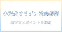 小型犬のオリジン・ドッグフードの種類を徹底解説—選び方とポイント